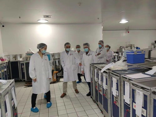 服務(wù)航空配餐企業(yè)，助力航空食品安全，承接檔案服務(wù)外包